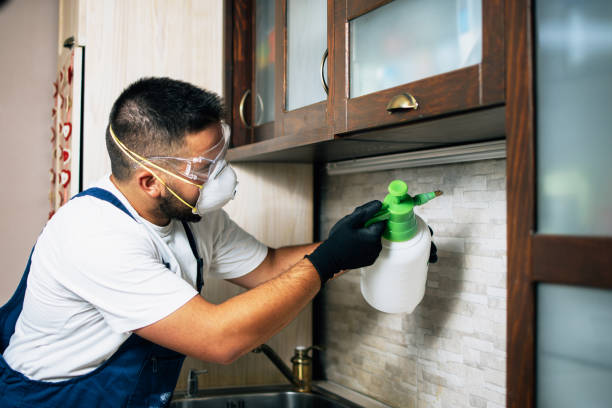 Best Pest Control for Homes  in Ball Pond, CT