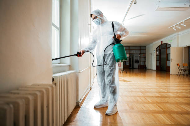 Best Cockroach Control Services  in Ball Pond, CT