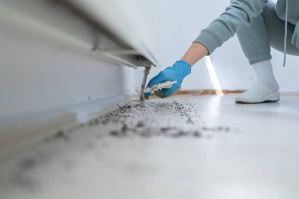 Best Residential Pest Control  in Ball Pond, CT