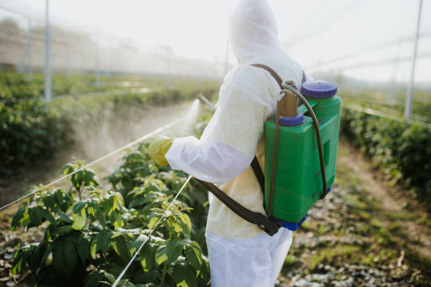 Best Best Pest Control Companies  in Ball Pond, CT